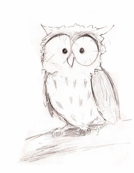 Тату Сова ручкой