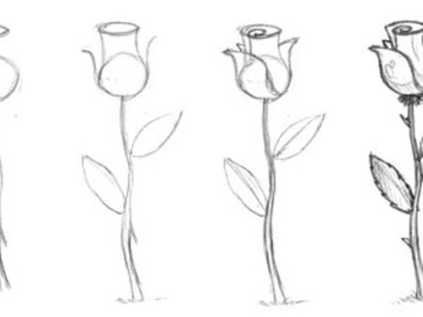 Рисунок розы легкий для начинающих