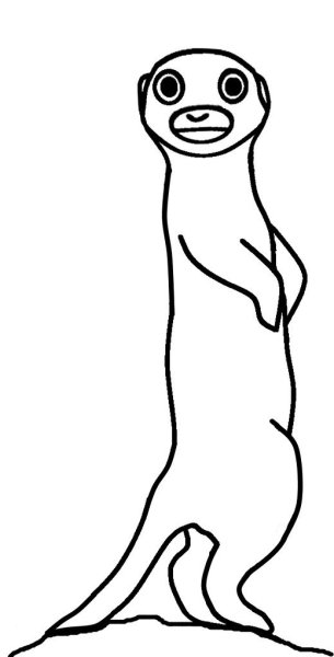 Сурикат рисунок