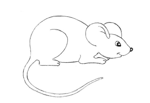 Рисунок мыши для срисовки