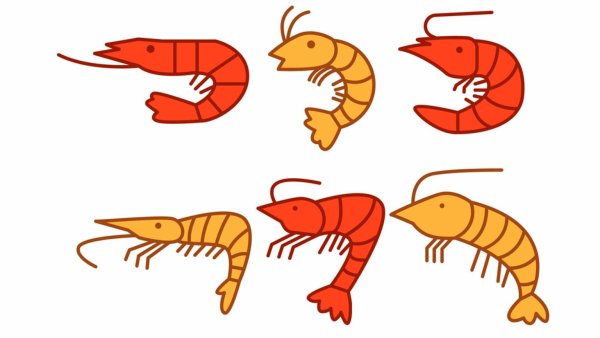 Креветка раскраска