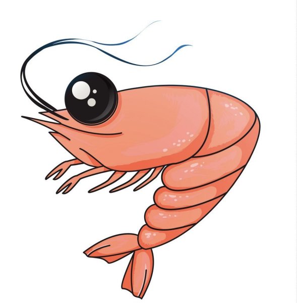 Креветка карандашом