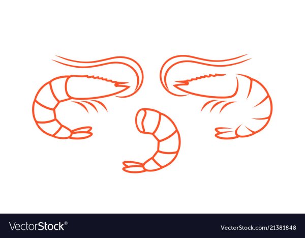 Креветка раскраска