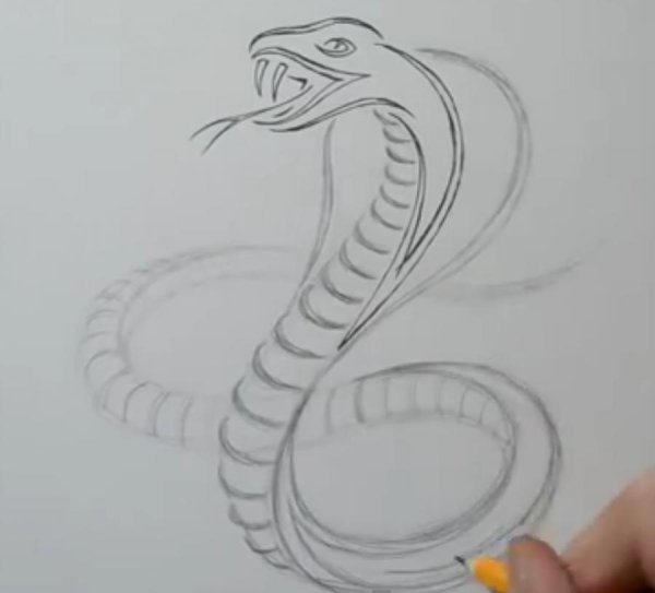 Рисунки змей карандашом лёгкие