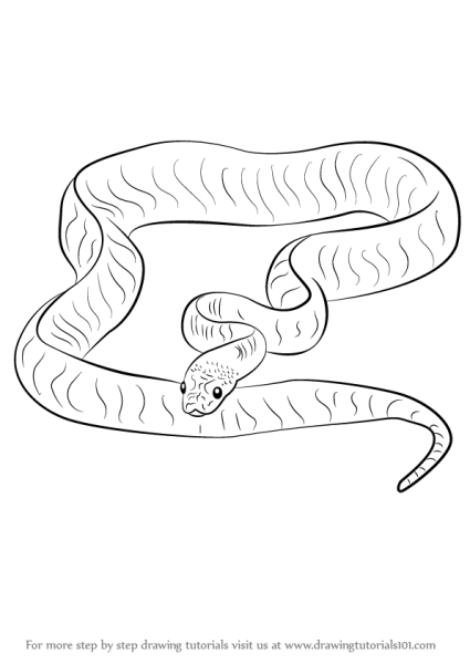 Нарисовать змею