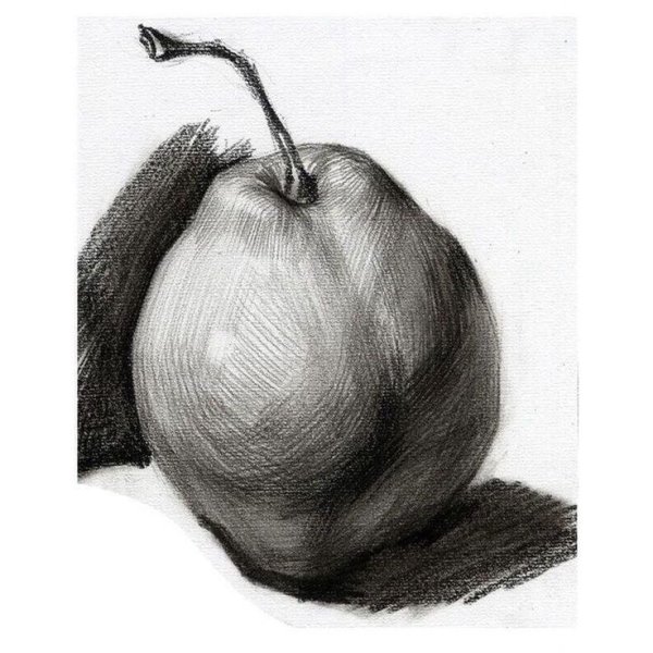 Фрукты карандашом