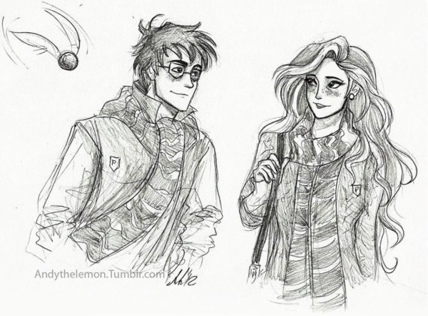 Раскраска Гарри Поттер мародеры