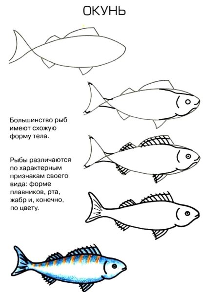 Рисование рыбы Пресноводные