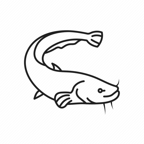 Сом картинка для выжигания