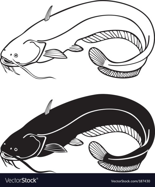 Трафарет сома