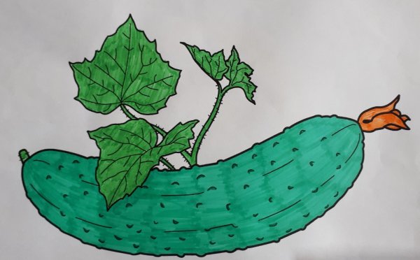 Нарисовать огурец