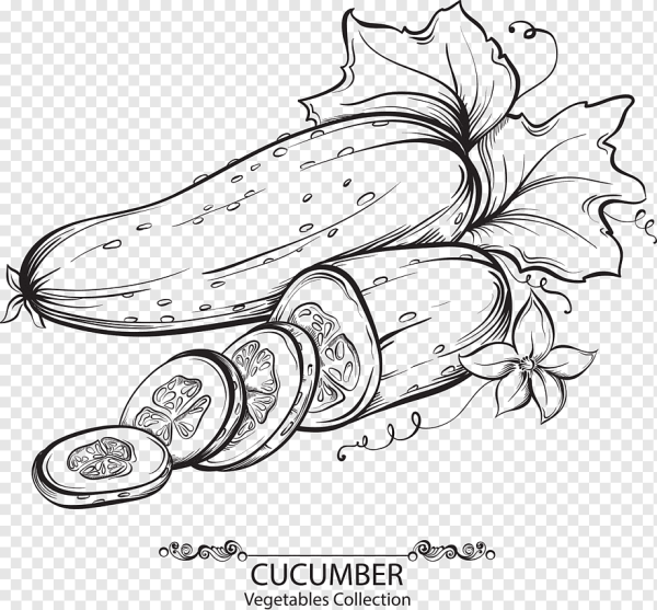 Огурцы hand drawn