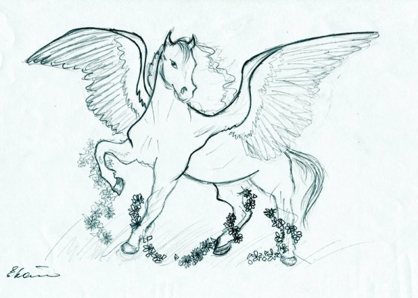 Пегас рисунок карандашом