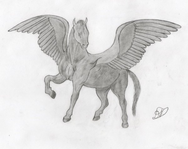 Поэтапное рисование Пегаса