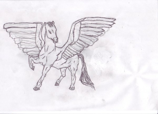 Поэтапное рисование Пегаса