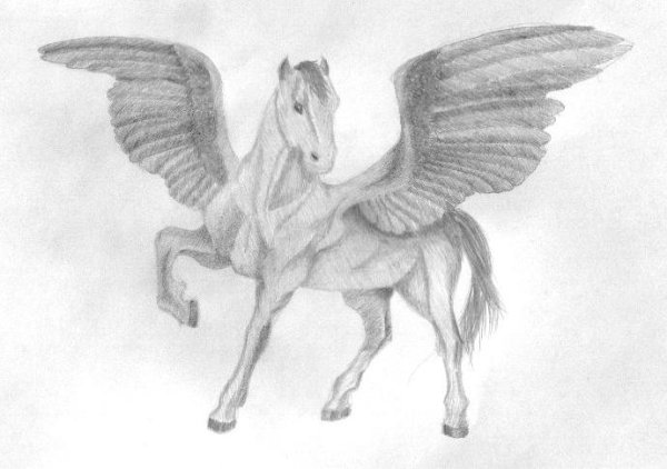 Красивые рисунки Пегаса карандашом