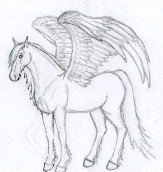 Лошадь с крыльями карандашом