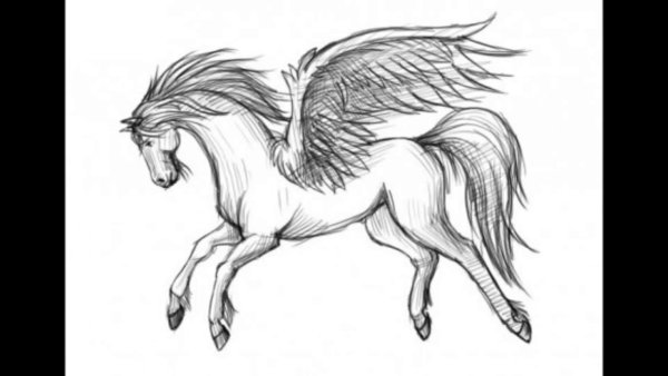 Рисунки пегасов карандашом