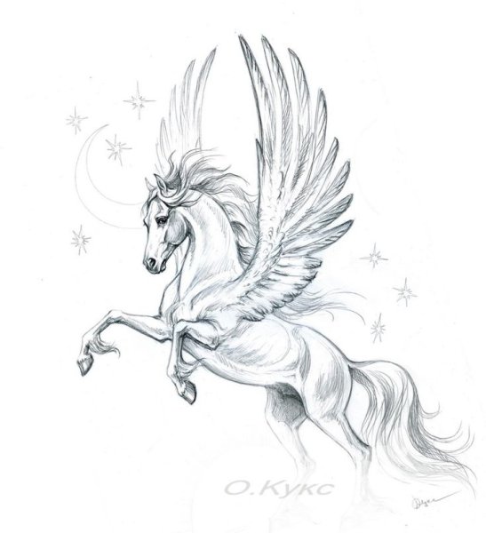 Пегас рисунок карандашом