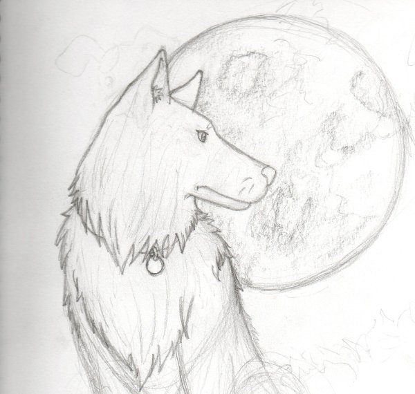 Анималистический Жанр карандашом