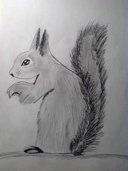 Анималистический Жанр рисования