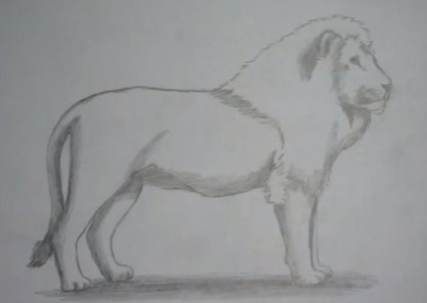 Агммелистичуеский Жанр карандаш