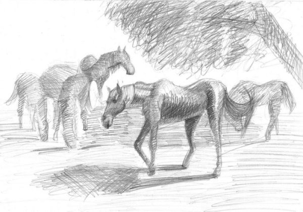 Анималистический Жанр рисунки