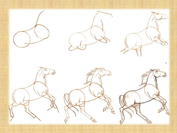 Схема рисования лошади для детей