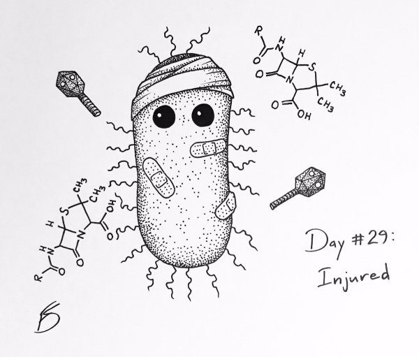 Микроб рисунок карандашом