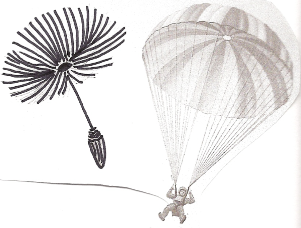 Парашют Бионика