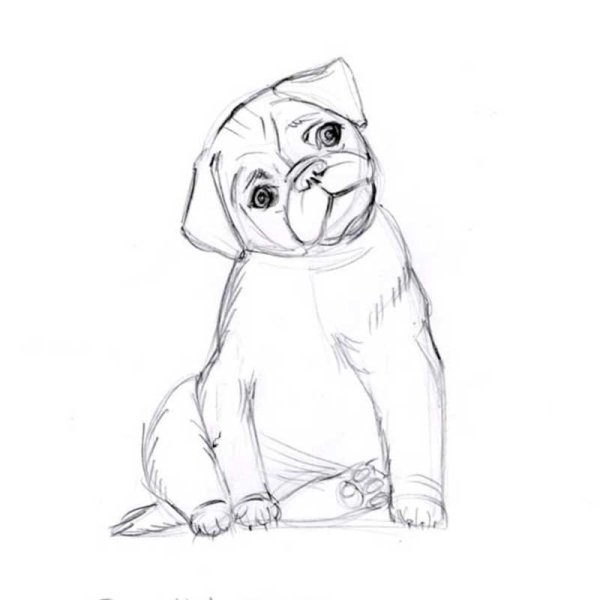 Мопс скетч