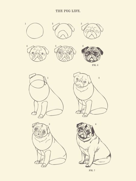 Рисунок собаки для срисовки