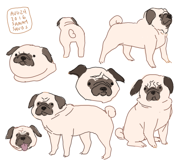 Картинки собак для срисовки