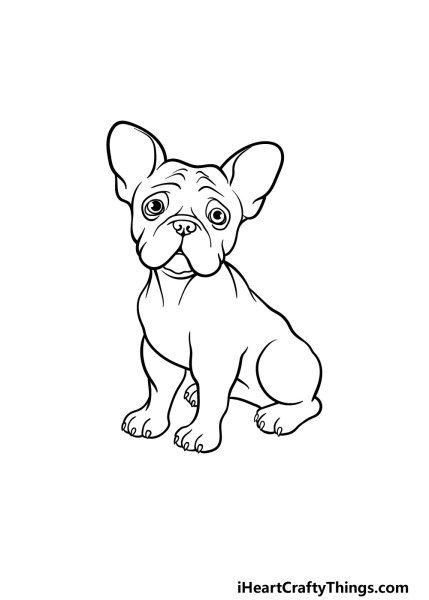 Раскраска французский бульдог