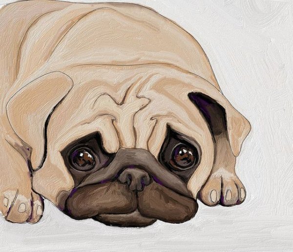 Нарисовать МОПСА