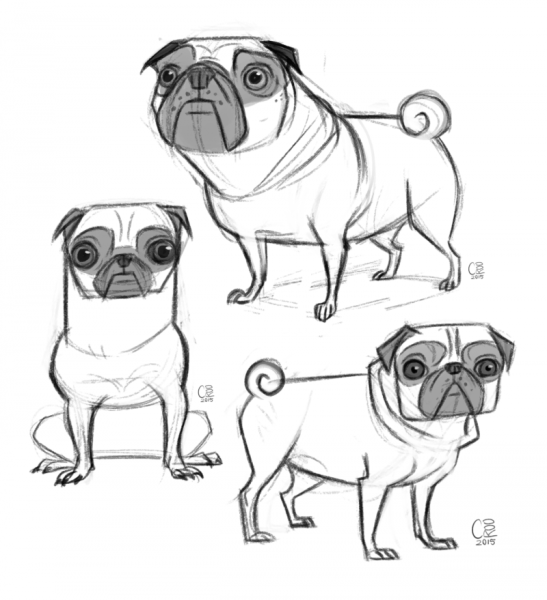 Мопс карандашом