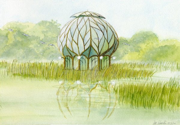 Природные формы в архитектуре изо