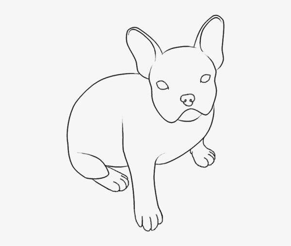 Французский бульдог