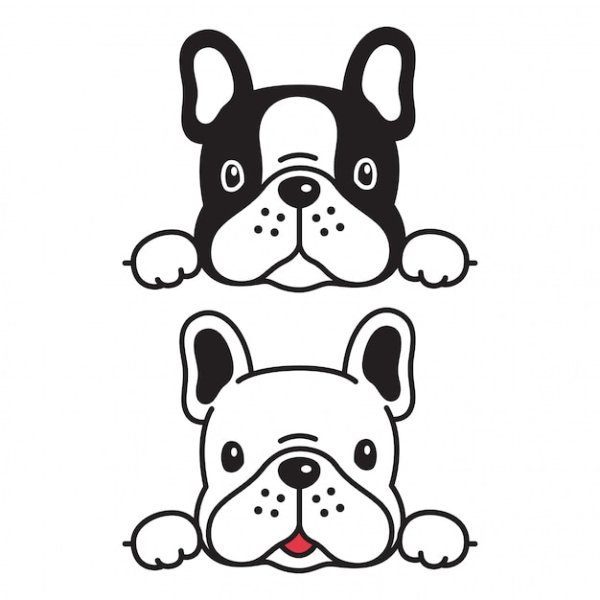 Французский бульдог для детей для раскрашивания