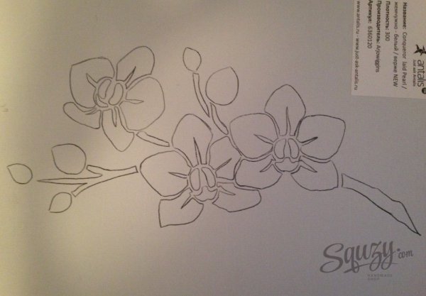 Орхидея рисунок карандашом
