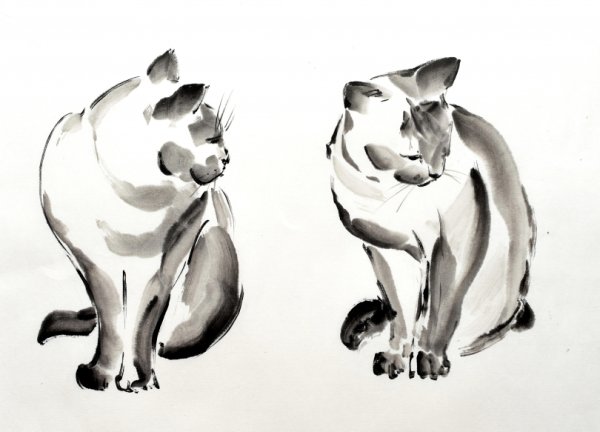 Наброски пятном