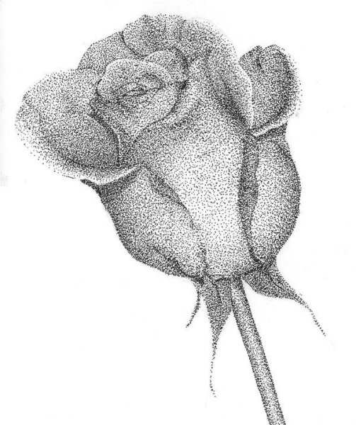 Рисование растений точками гелевой ручкой