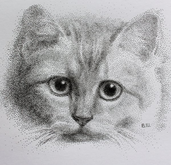 Точечная техника рисования карандашом