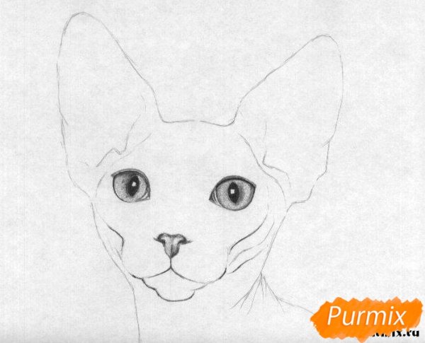 Сфинкс рисунок карандашом для срисовки