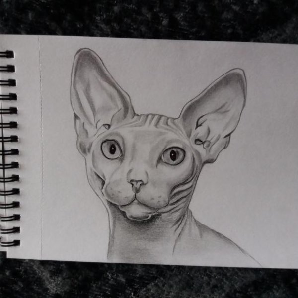 Сфинкс карандашом