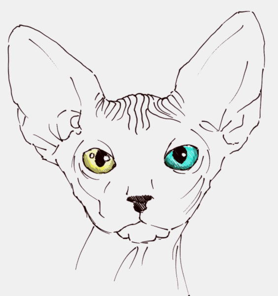 Сфинкс рисунок