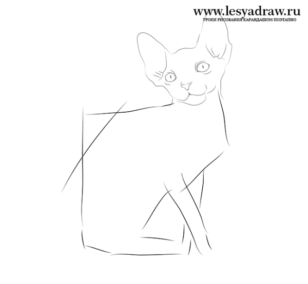 Сфинкс кошка рисунок карандашом
