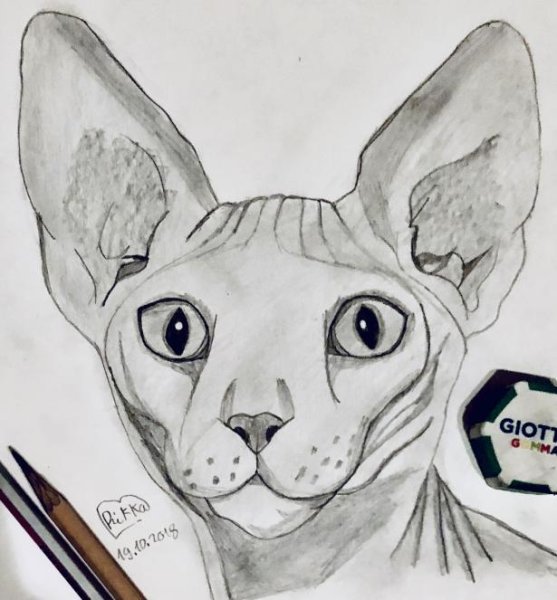 Пошаговое рисование сфинкс