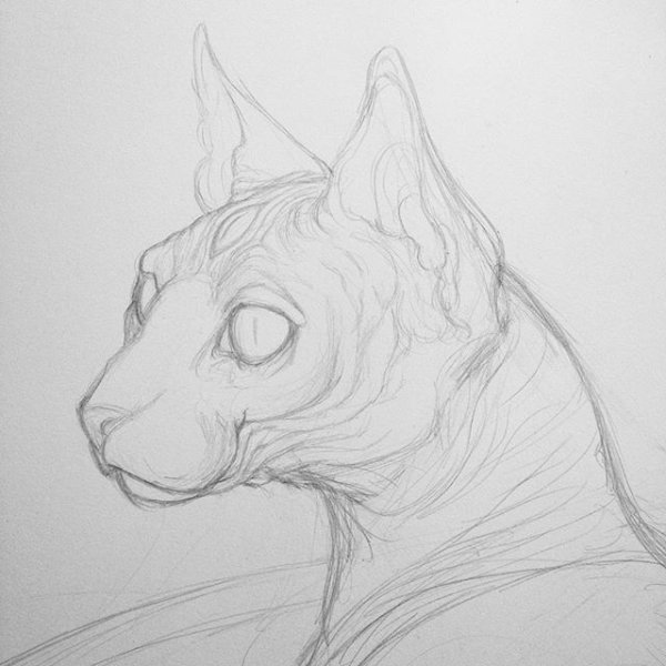 Сфинкс простым карандашом