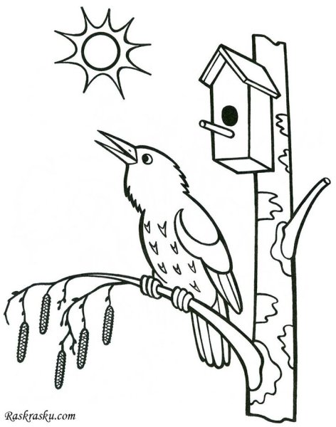 Раскраска Весна для детей